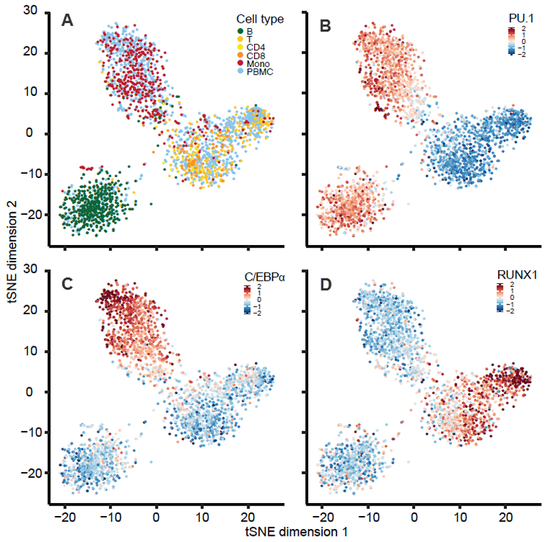 Figure 4. tSNE plots of chromatin accessibility reveals robust clustering of chromatin accessibility patterns within specific hematopoetic cell types.