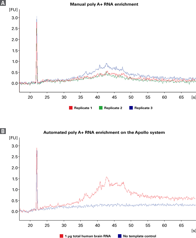 Poly A+ RNA enrichment on the Apollo system produces better quality and yield as compared to manual poly A+ RNA enrichment.