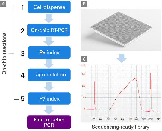 Workflow of full-length scRNA-seq library prep on ICELL8 systems