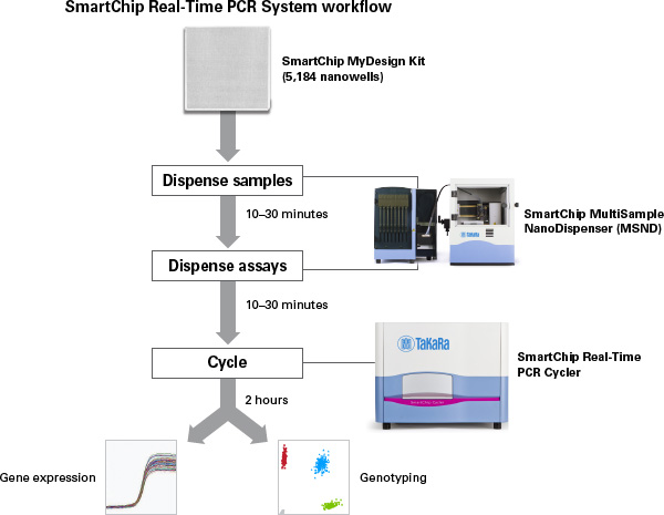 Diagram outlining the SmartChip workflow