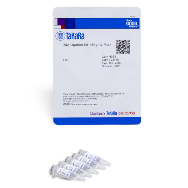 6023: DNA Ligation Kit, Mighty Mix