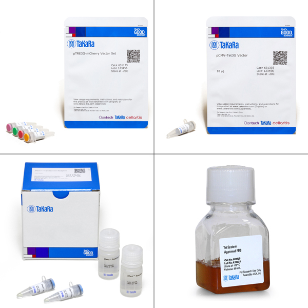 631165: Tet-On 3G Inducible Expression System (with mCherry)