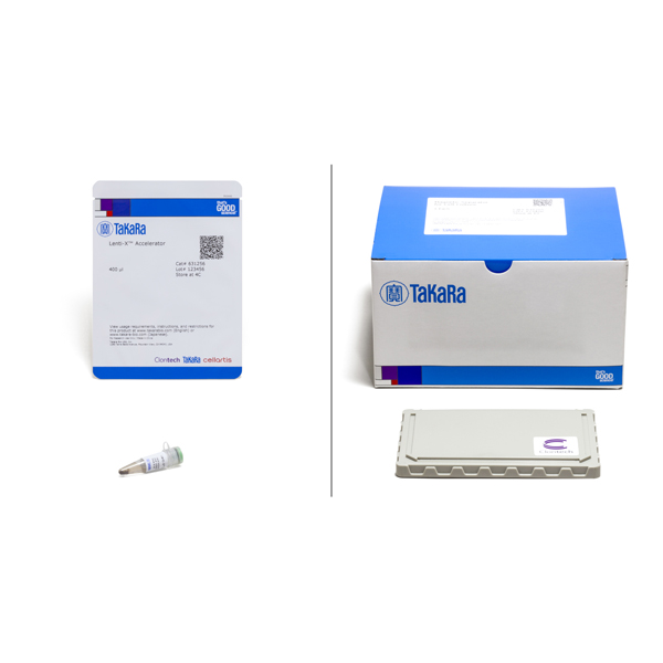 631254: Lenti-X Accelerator Starter Kit