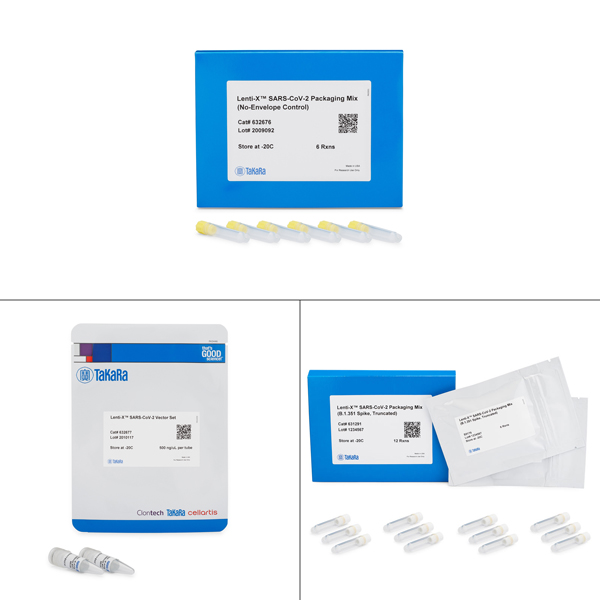 631293: Lenti-X SARS-CoV-2 Packaging Single Shots (B.1.351 Spike, Truncated)