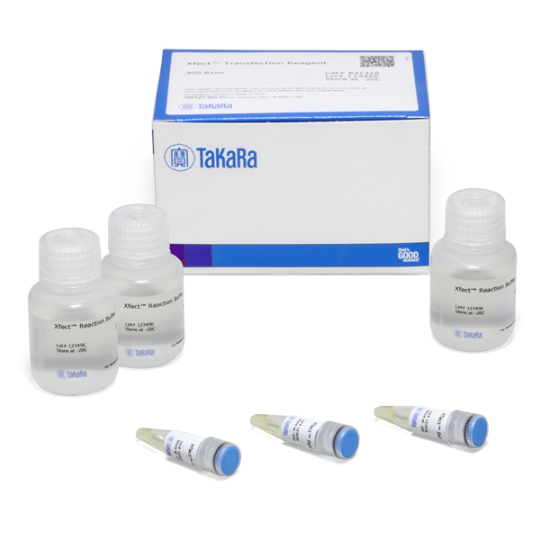 631318: Xfect Transfection Reagent