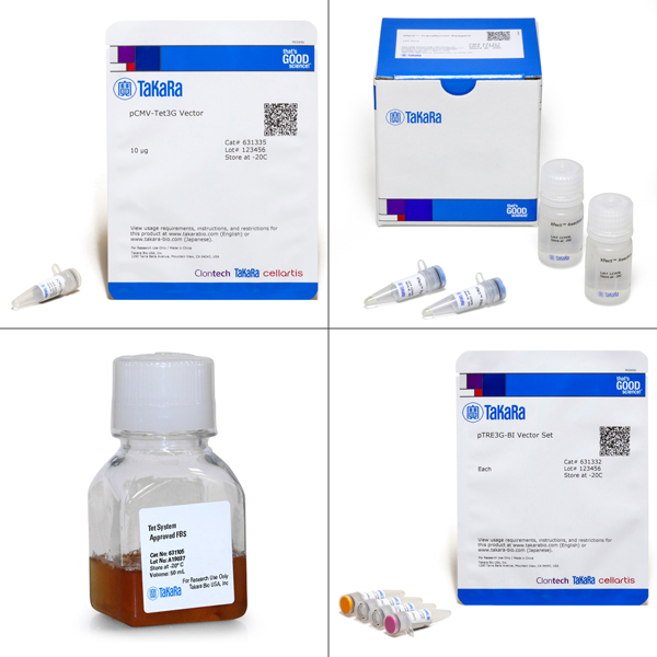 631337: Tet-On 3G Bidirectional Inducible Expression System