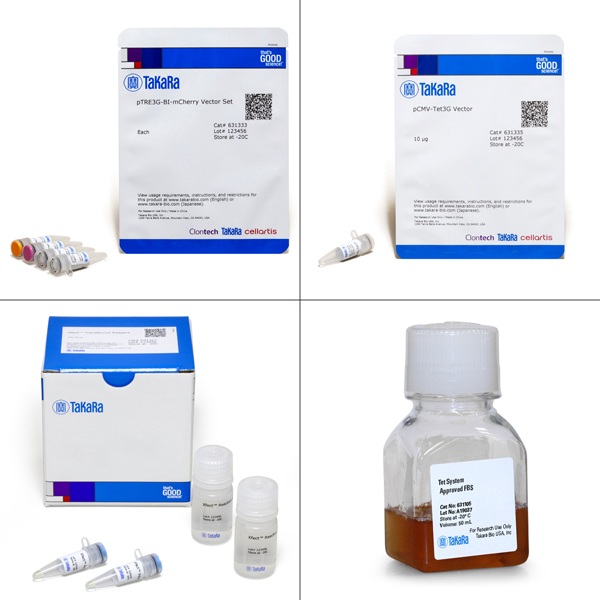 631338: Tet-On 3G Bidirectional Inducible Expression System (with mCherry)
