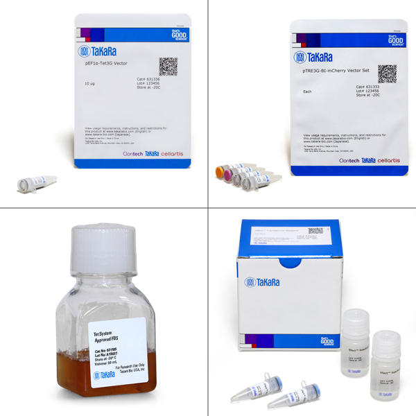 631341: Tet-On 3G Bidirectional Inducible Expression System (EF1alpha, mCherry)