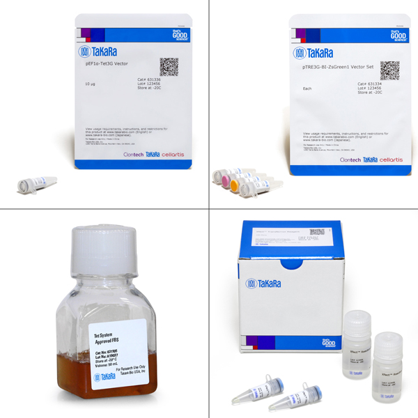 631342: Tet-On 3G Bidirectional Inducible Expression System (EF1alpha, ZsGreen1)