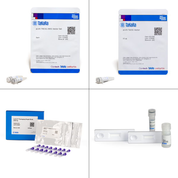 631351: Lenti-X Tet-On 3G Inducible Expression System (Bicistronic Version)