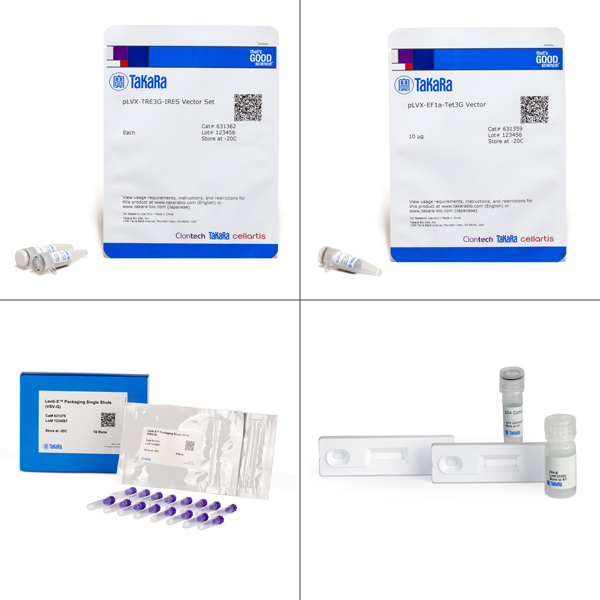 631354: Lenti-X Tet-On 3G Inducible Expression System (EF1alpha, Bicistronic)