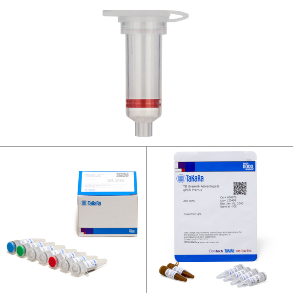 631414: BacPAK qPCR Titration Kit