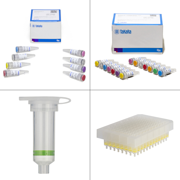 631467: Retro-X Integration Site Analysis Kit