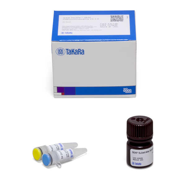 631736: Great EscAPe SEAP Chemiluminescence Kit 2.0