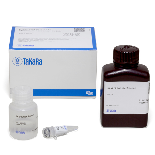 631738: Great EscAPe SEAP Chemiluminescence Kit 2.0