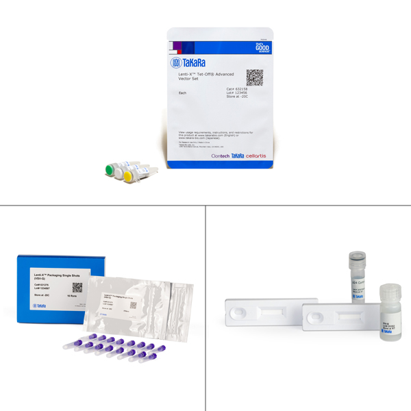 632163: Lenti-X Tet-Off Advanced Inducible Expression System