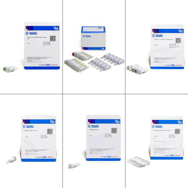 632608: AAVpro CRISPR/Cas9 Helper Free System (AAV2)