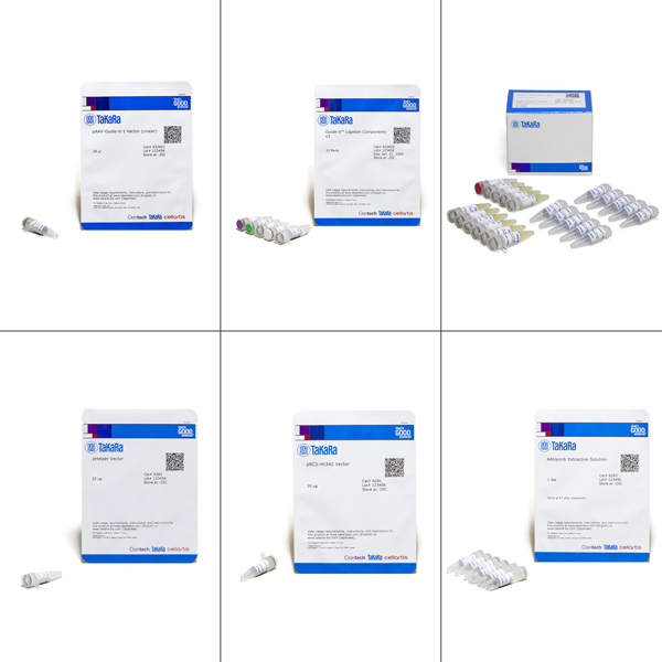 632619: AAVpro CRISPR/SaCas9 Helper Free System (AAV2)