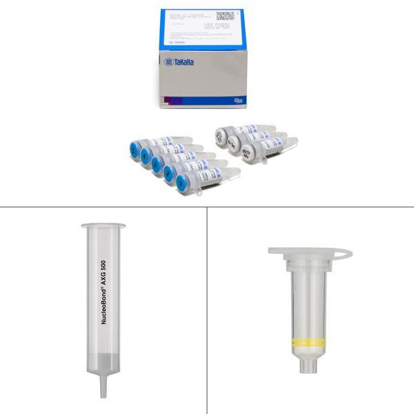 632647: Guide-it CRISPR Genome-Wide sgRNA Library NGS Analysis Kit