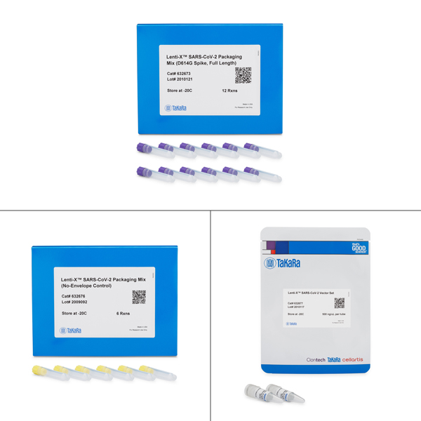 632669: Lenti-X SARS-CoV-2 Packaging Single Shots (D614G Spike, Full Length)