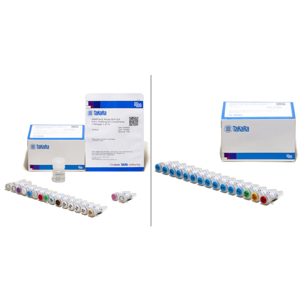 634422: SMARTer Mouse BCR IgG H/K/L Profiling Kit