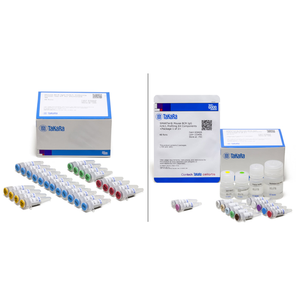 634423: SMARTer Mouse BCR IgG H/K/L Profiling Kit
