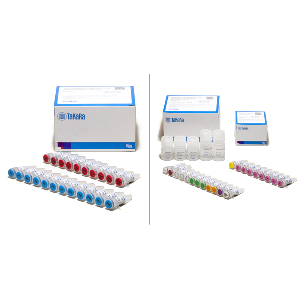 634432: SMARTer Human scTCR a/b Profiling Kit