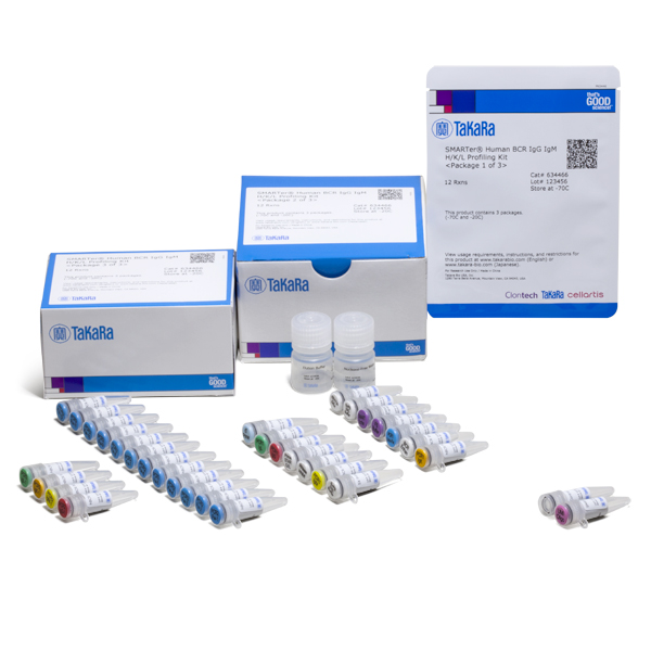 634466: SMARTer Human BCR IgG IgM H/K/L Profiling Kit