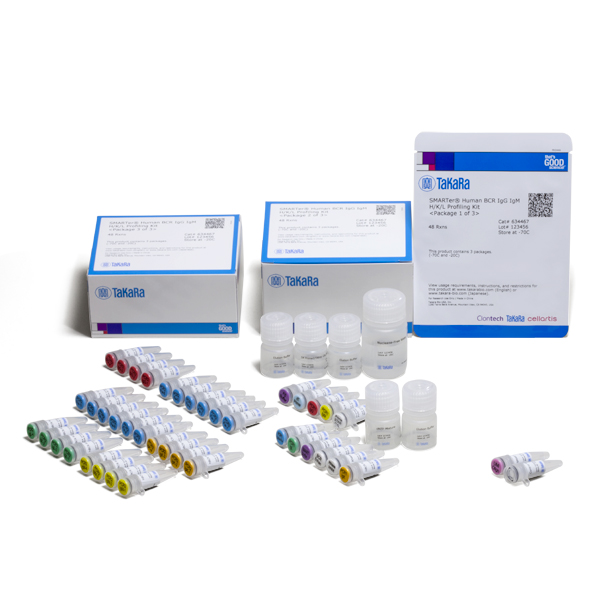 634467: SMARTer Human BCR IgG IgM H/K/L Profiling Kit