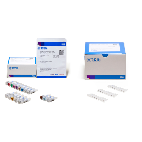 634485: SMARTer Stranded Total RNA-Seq Kit v3 - Pico Input Mammalian