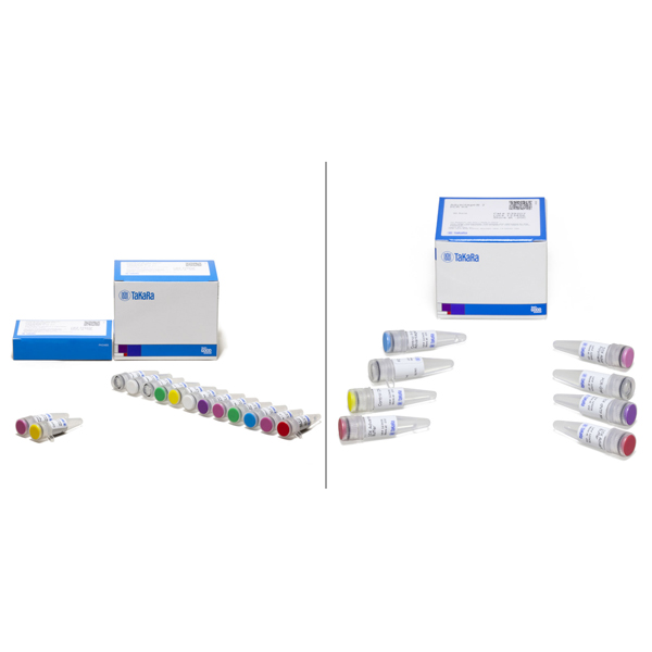 634938: SMARTer Universal Low Input RNA Kit for Sequencing