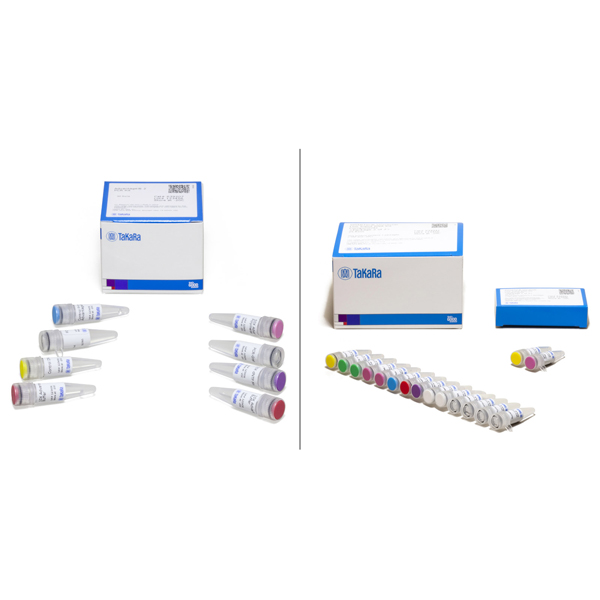 634940: SMARTer Universal Low Input RNA Kit for Sequencing