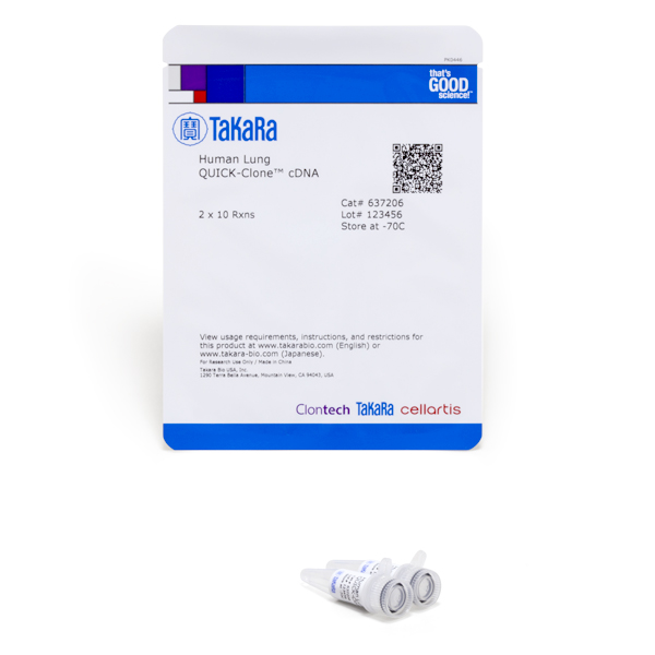 637206: Human Lung QUICK-Clone cDNA