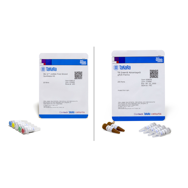 638314: Mir-X miRNA qRT-PCR TB Green Kit