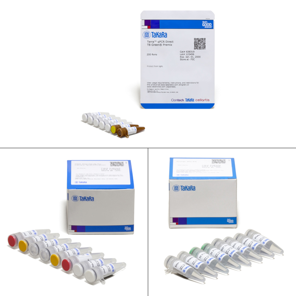 638324: Library Quantification Kit