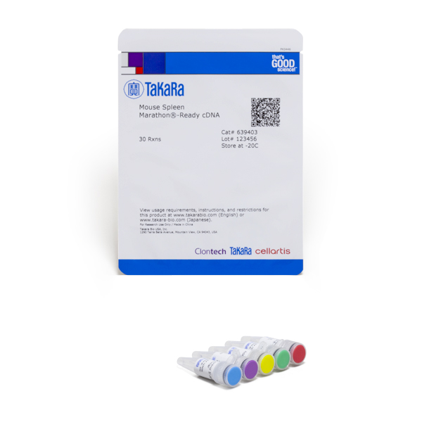 639403: Mouse Spleen Marathon-Ready cDNA