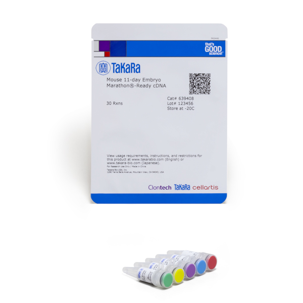 639408: Mouse 11-day Embryo Marathon-Ready cDNA