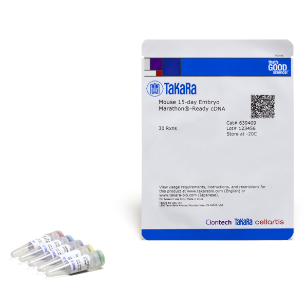 639409: Mouse 15-day Embryo Marathon-Ready cDNA