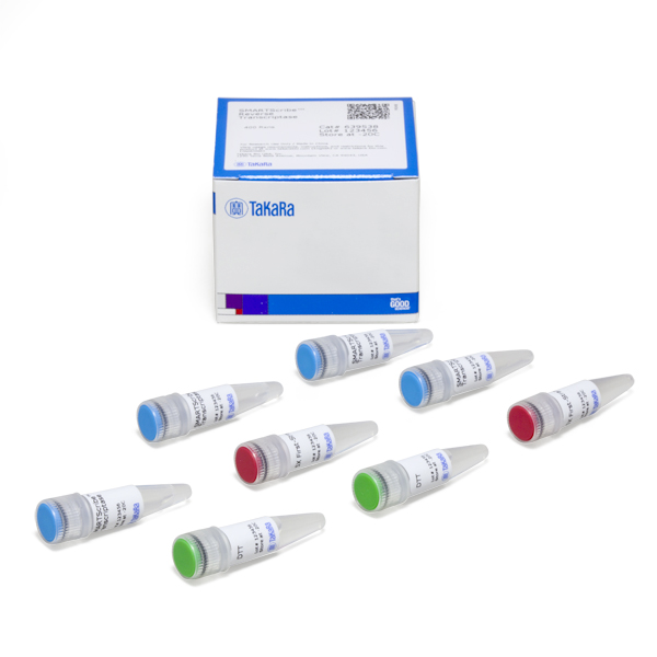 SMARTScribe Reverse Transcriptase