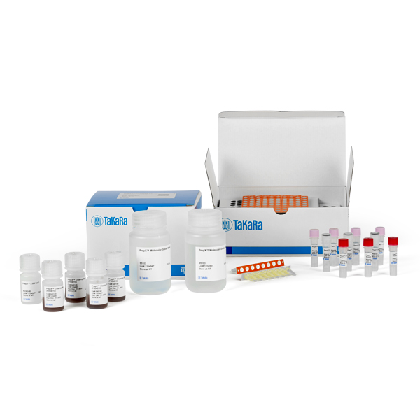 640102: PrepX DNA Library Kit (400076)