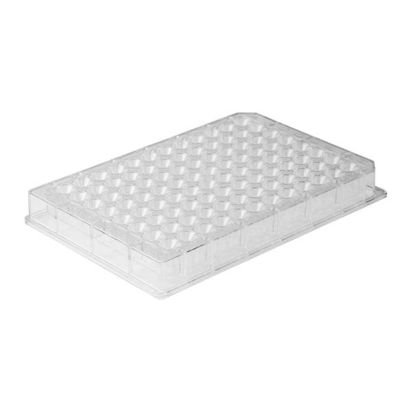 740479.24: MN Wash Plate