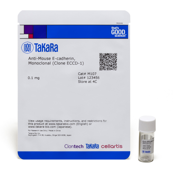M107: Monoclonal Anti-mouse E-cadherin (Clone ECCD-1)