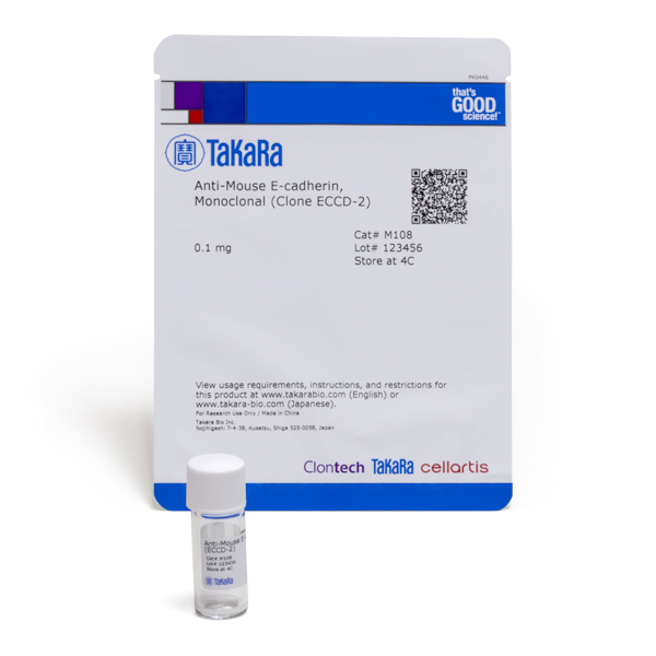 M108: Monoclonal Anti-mouse E-cadherin (Clone ECCD-2)