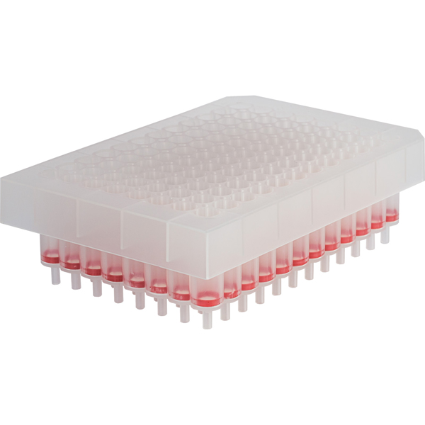 740303.48: NucleoSpin DNA Plasma Midi