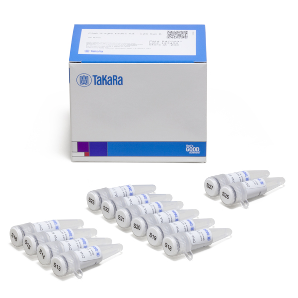 R400697: DNA Single Index Kit - 12S Set B
