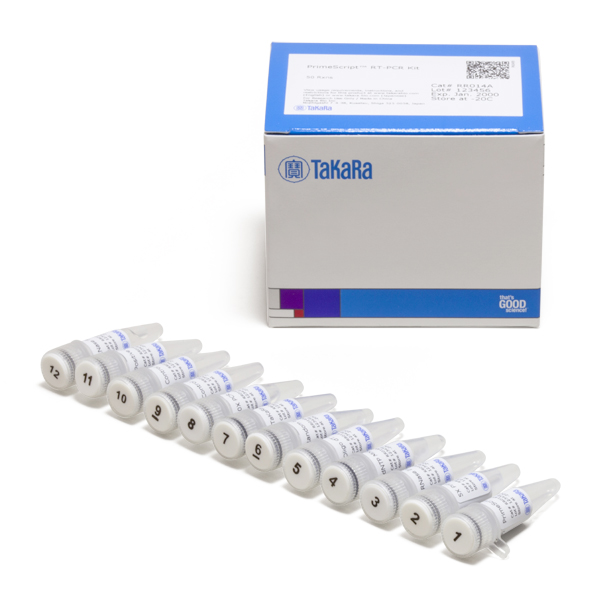 RR014A: PrimeScript RT-PCR Kit