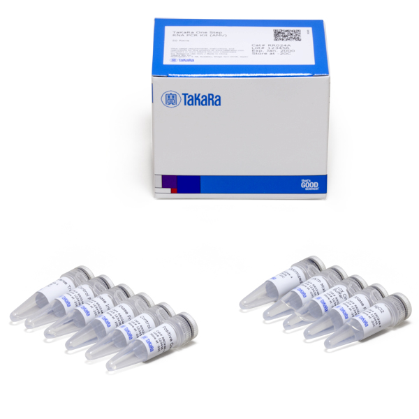 RR024A: One-Step RNA PCR Kit (AMV)