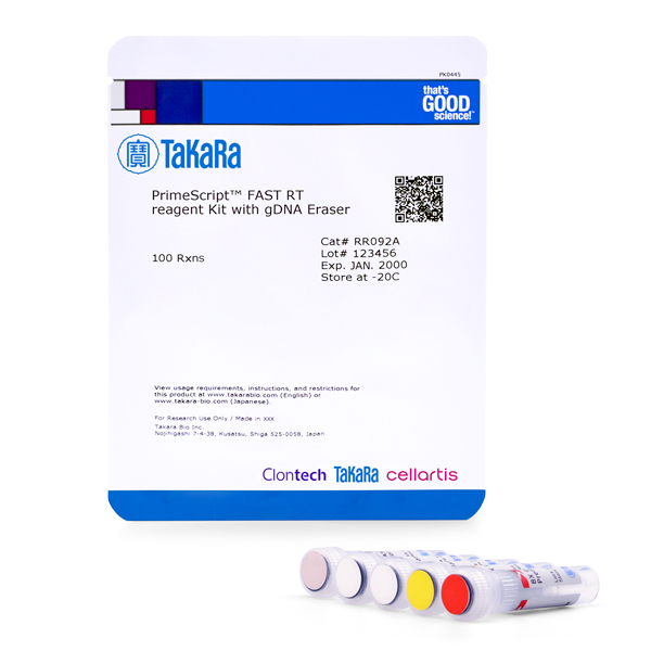 PrimeScript FAST RT reagent Kit with gDNA Eraser