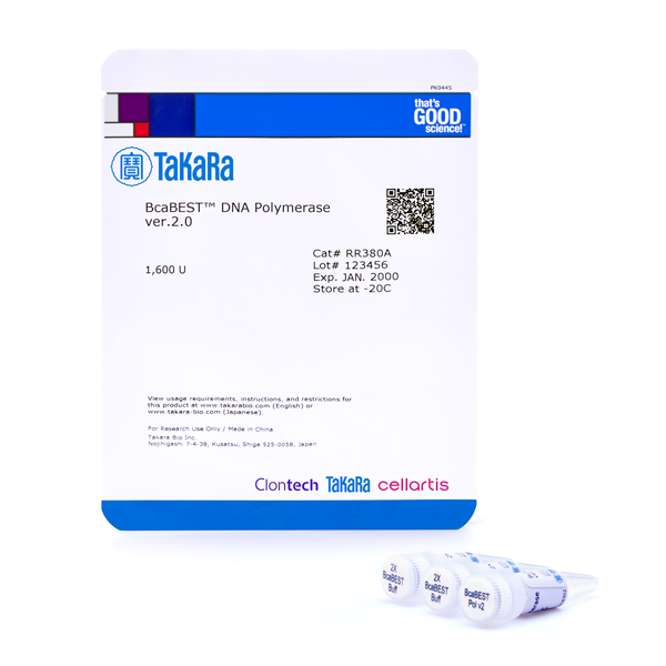 RR380A: BcaBEST DNA Polymerase ver.2.0