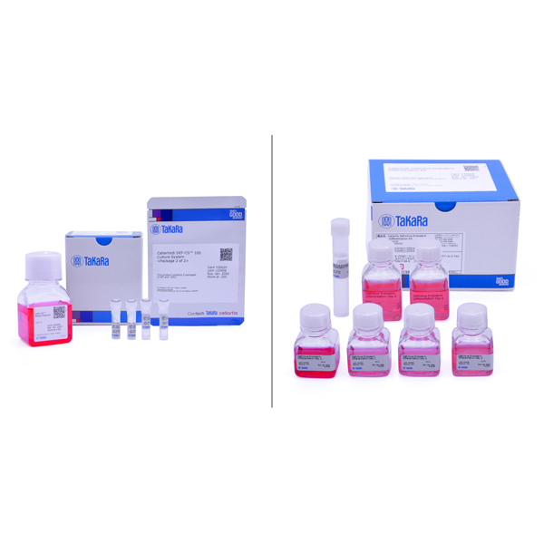 Y30035: Cellartis Definitive Endoderm Differentiation Kit with DEF-CS Culture System